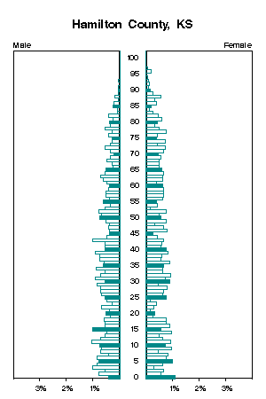 Click for a larger image.