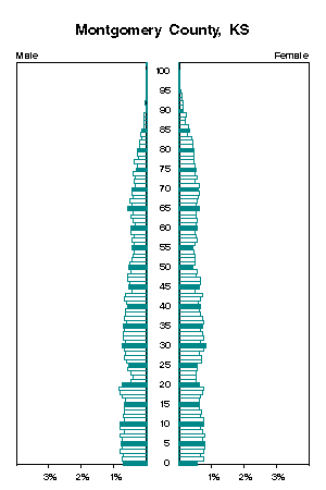 Click for a larger image.